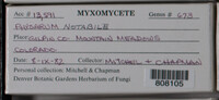 Image Associated With the Occurence